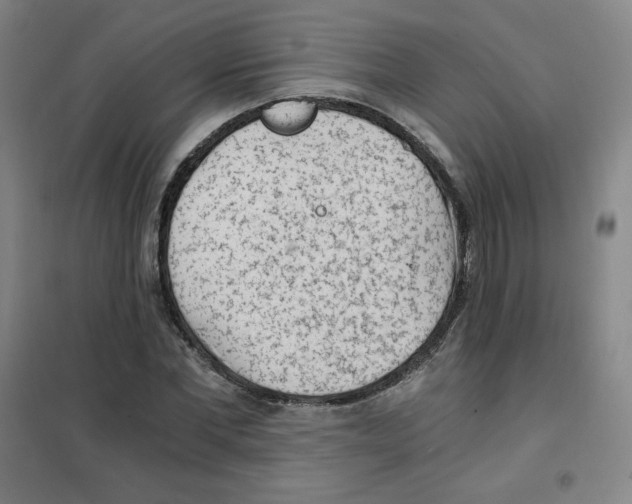 X0000101110877200807241133