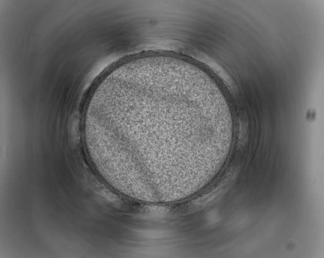 X0000101110878200807241133