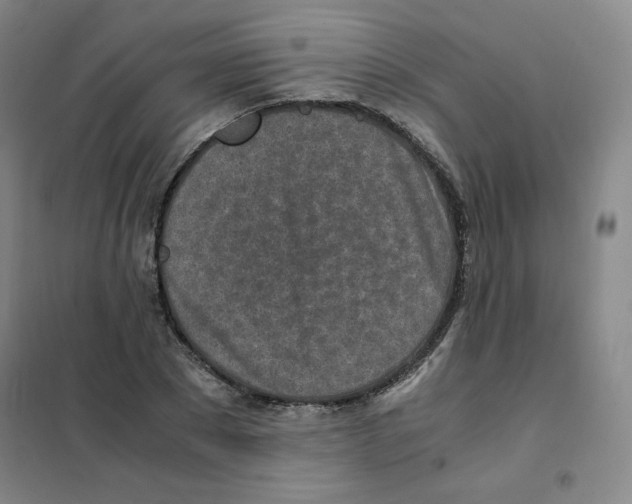 X0000101110881200807241133
