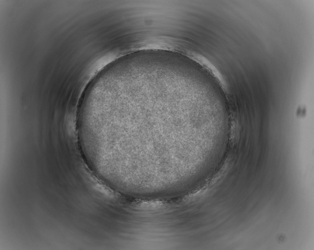 X0000101110882200807241133