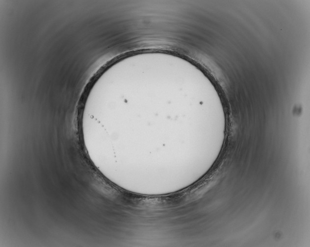 X0000101110883200807241133