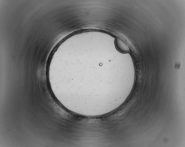 X0000101110884200807241133