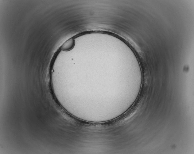 X0000101110885200807241133