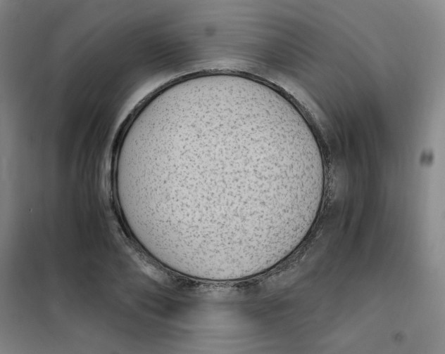 X0000101110886200807241133