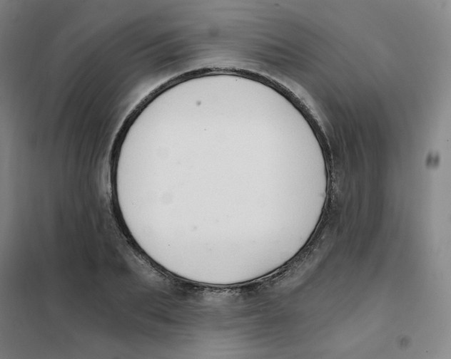 X0000101110887200807241133