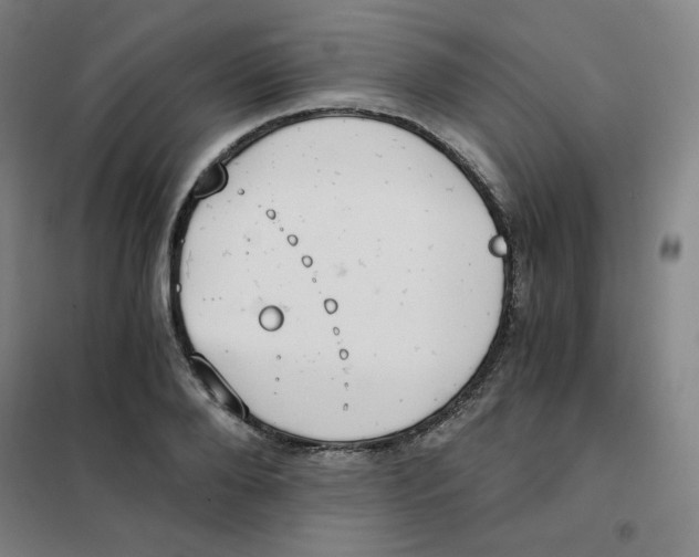 X0000101110888200807241133