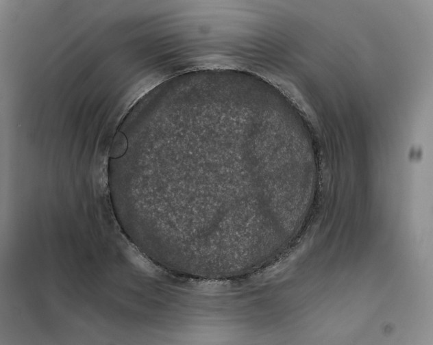 X0000101110889200807241133
