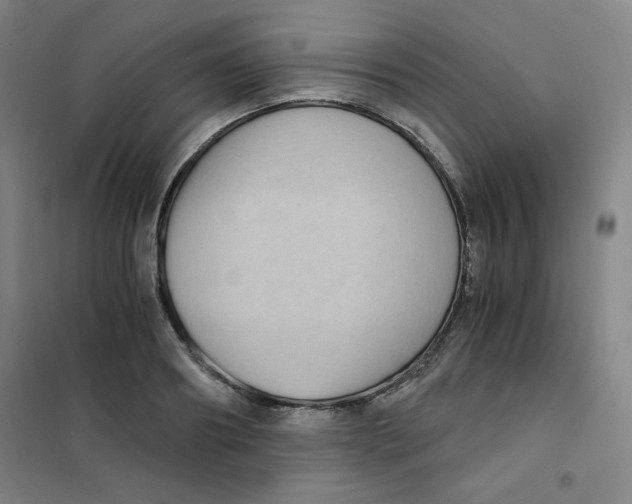 X0000101110890200807241133