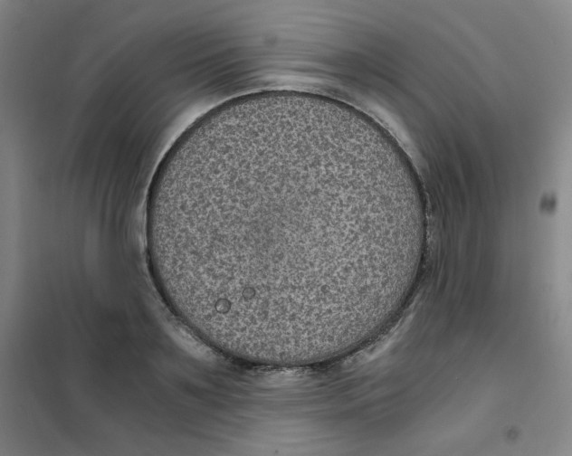 X0000101110891200807241133