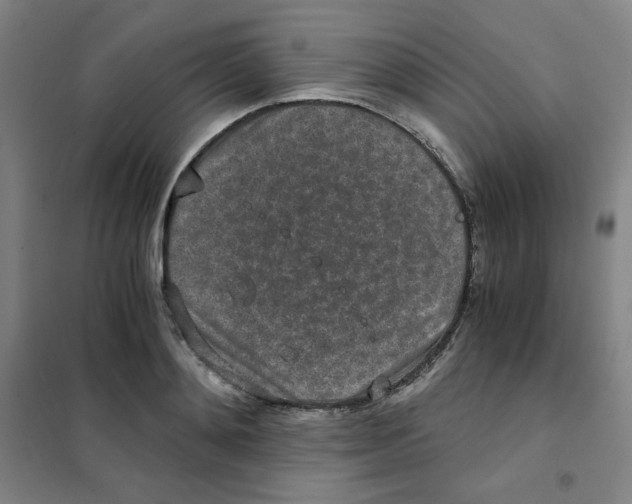 X0000101110892200807241133