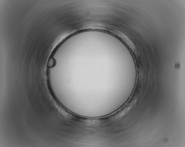 X0000101110893200807241133