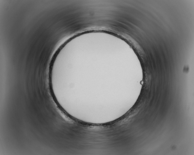 X0000101110894200807241133