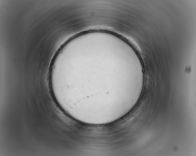 X0000101110895200807241133