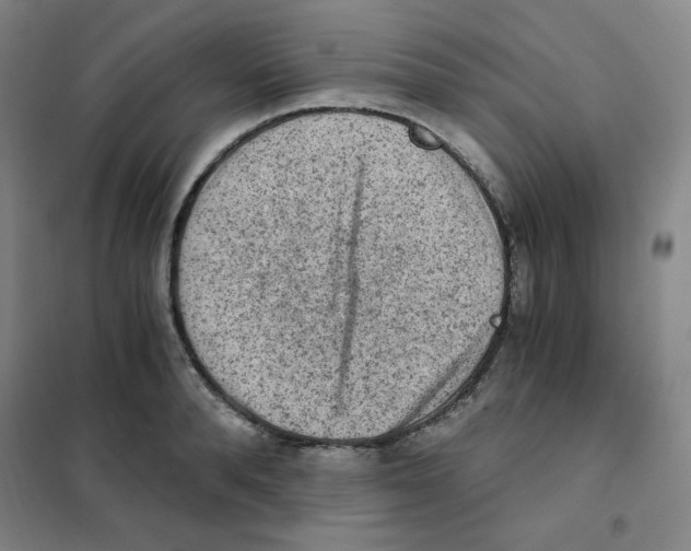 X0000101110896200807241133