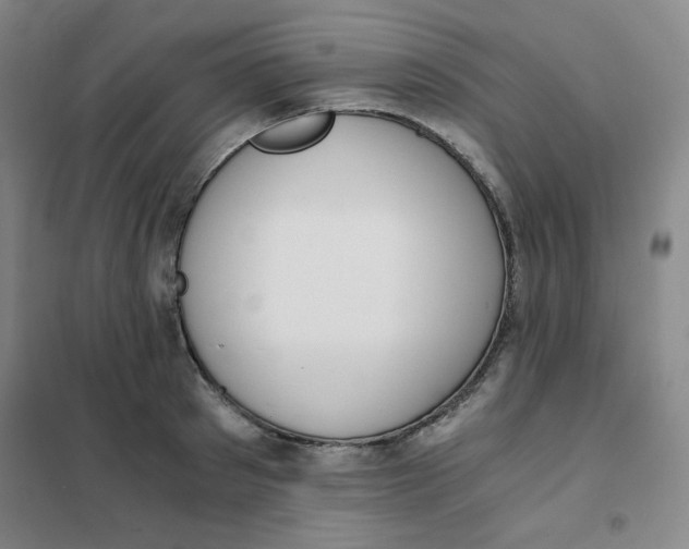 X0000101110897200807241133