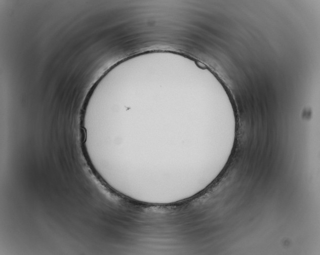 X0000101110898200807241133