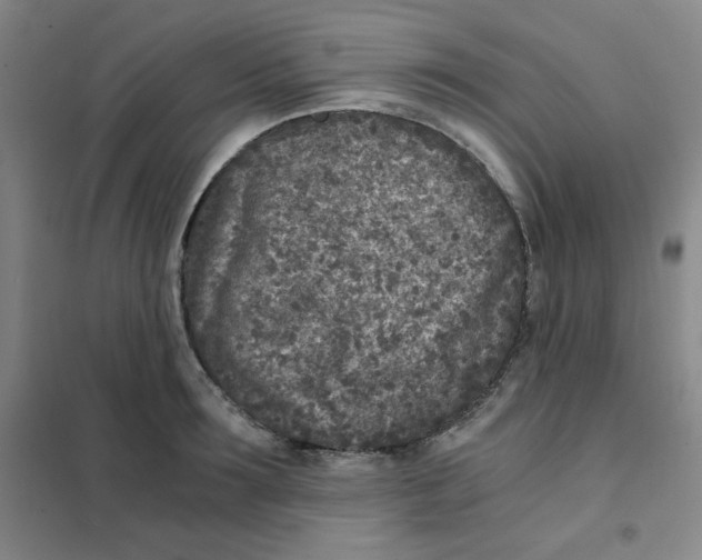 X0000101110899200807241133
