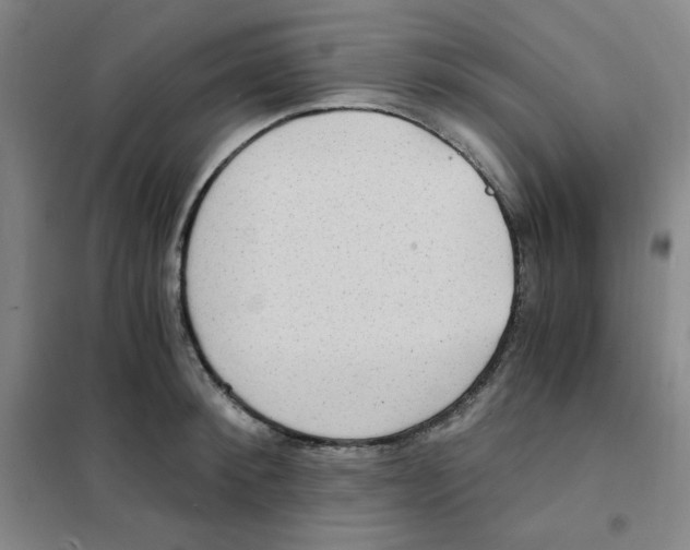X0000101110900200807241133