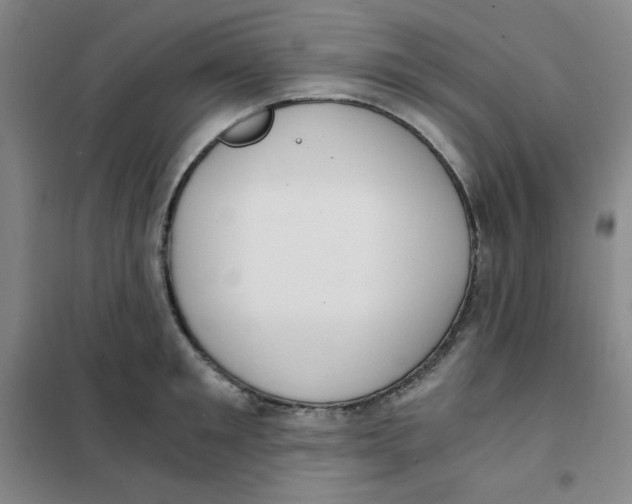 X0000101110901200807241132