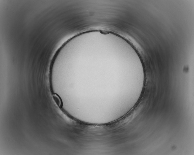 X0000101110902200807241132