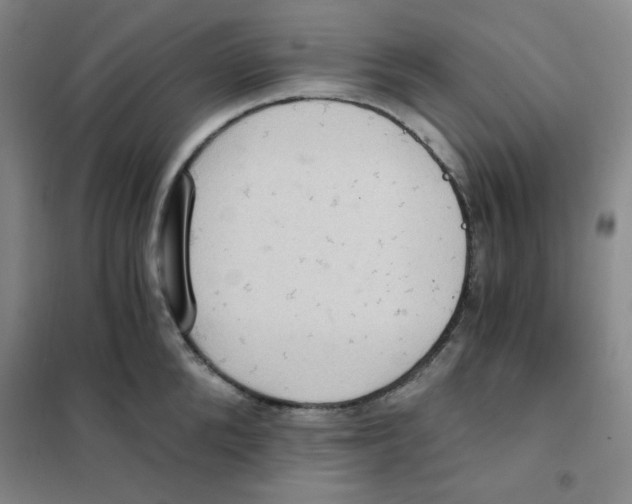 X0000101110904200807241132