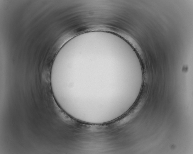 X0000101110905200807241132