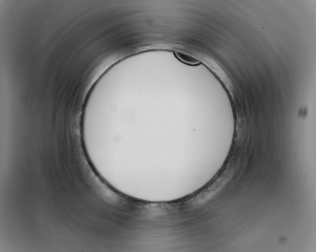 X0000101110906200807241132