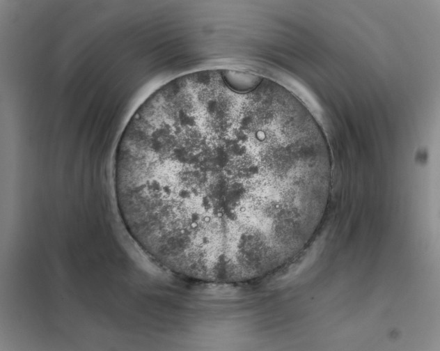X0000101110907200807241132