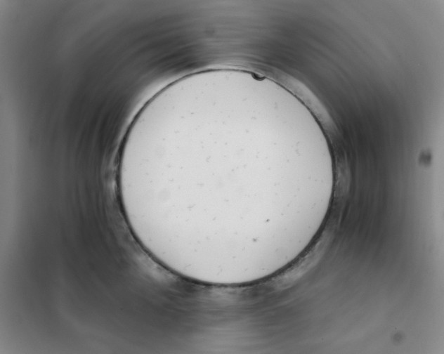 X0000101110908200807241132