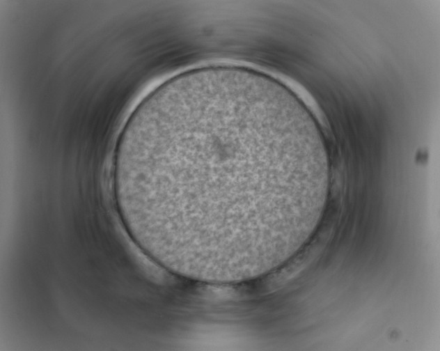 X0000101110911200807241132