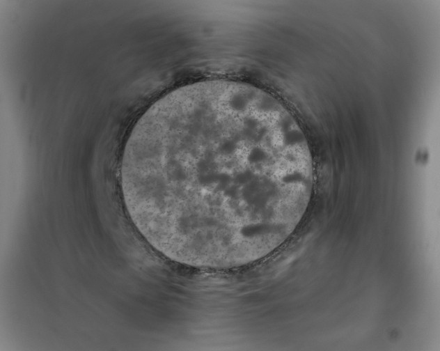 X0000101110913200807241132