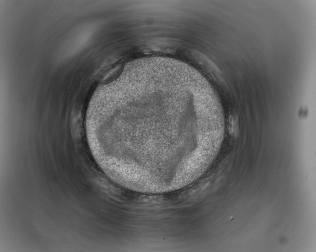 X0000101110915200807241132