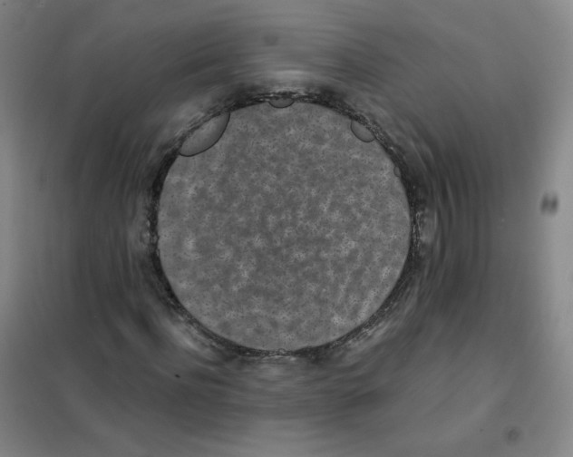 X0000101110916200807241132