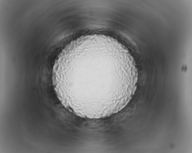 X0000101110917200807241132