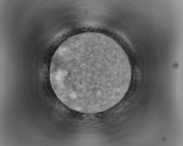 X0000101110918200807241132