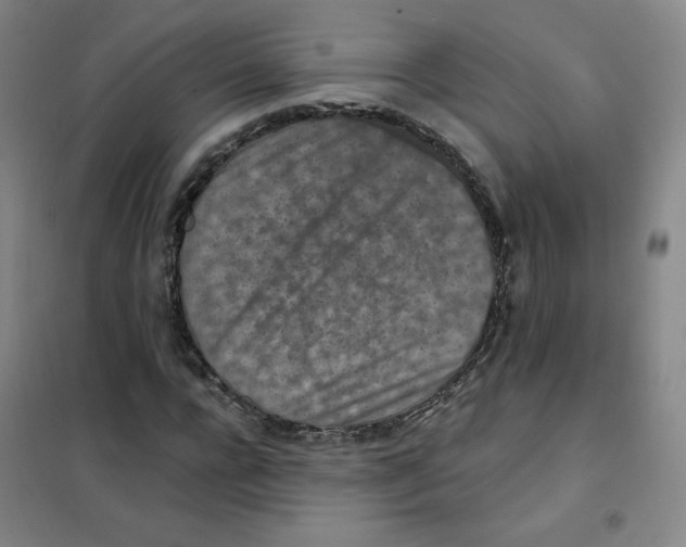 X0000101110920200807241132