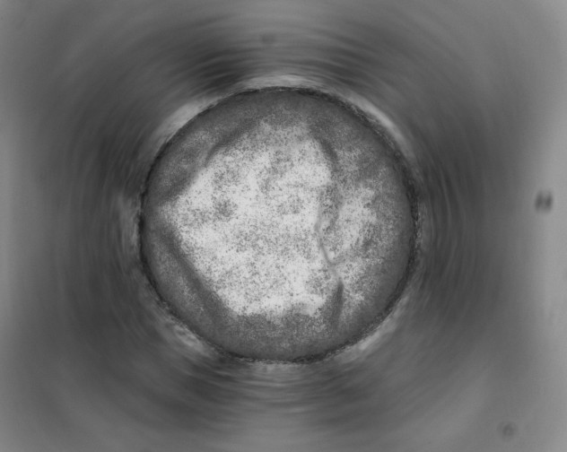 X0000101110921200807241132