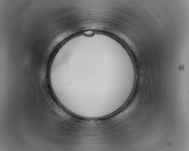 X0000101110922200807241132