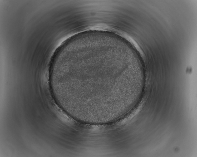 X0000101110923200807241132