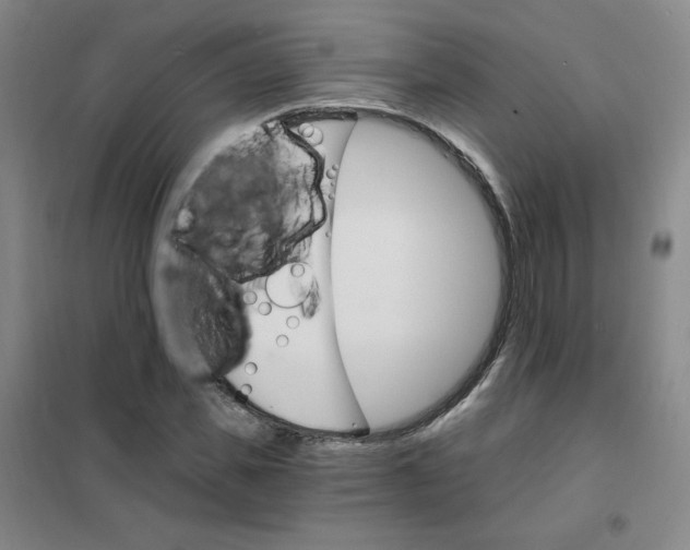 X0000101110925200807241132