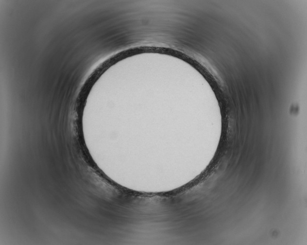 X0000101110926200807241132