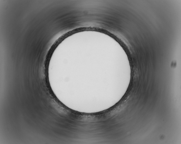 X0000101110927200807241132