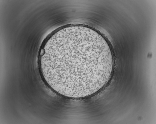 X0000101110928200807241132