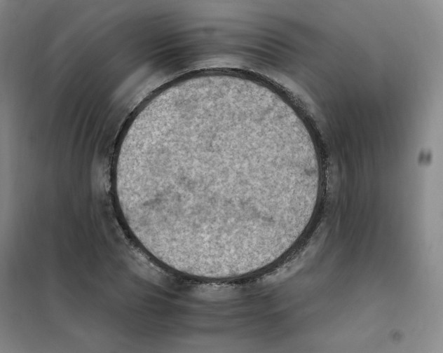 X0000101110929200807241132
