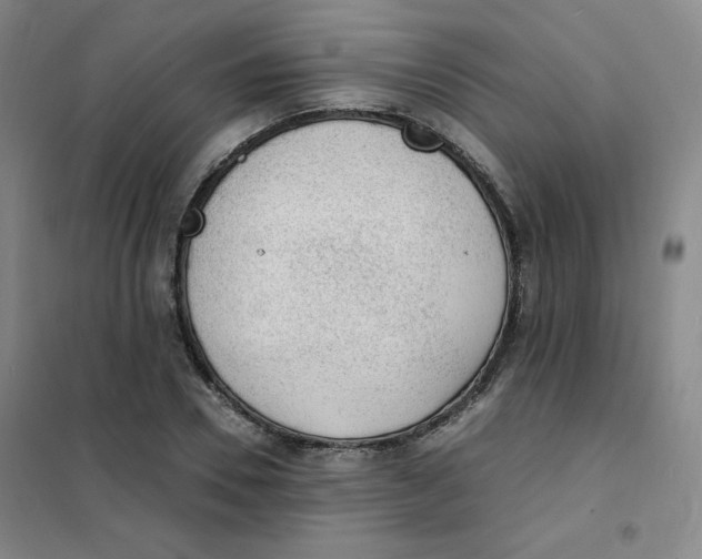 X0000101110930200807241132