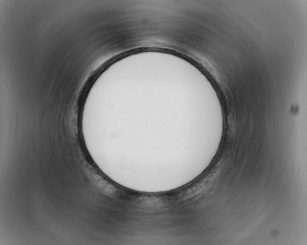 X0000101110931200807241132