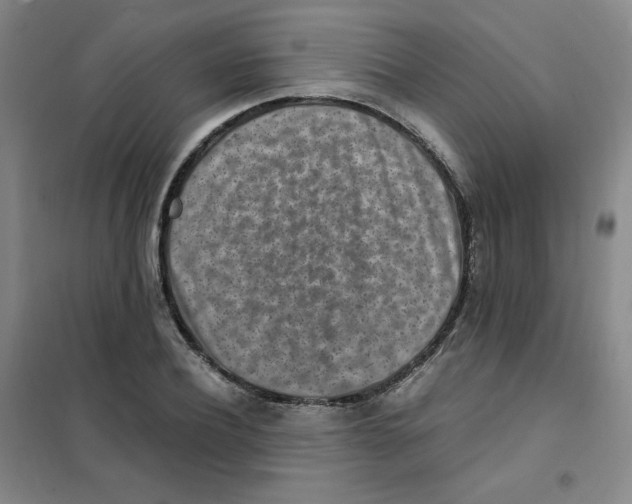 X0000101110932200807241132