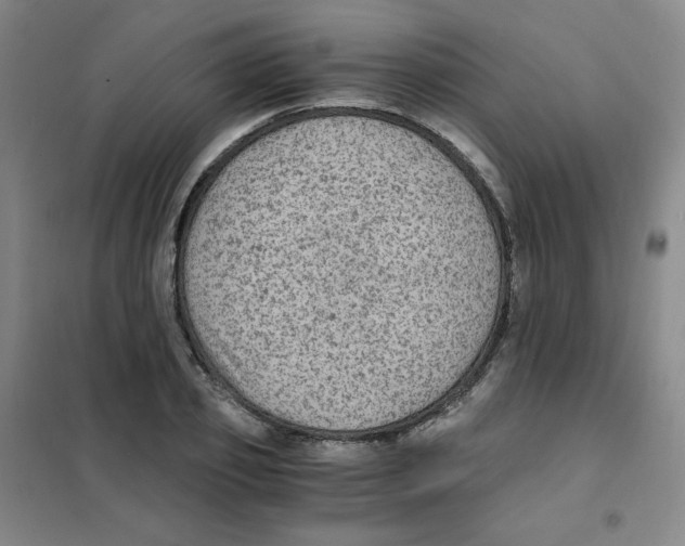 X0000101110933200807241132