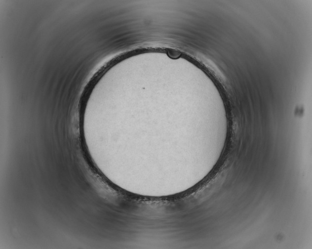 X0000101110934200807241132