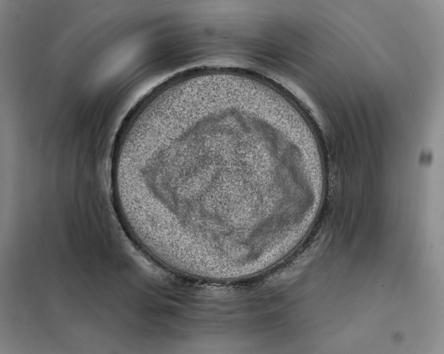 X0000101110935200807241132